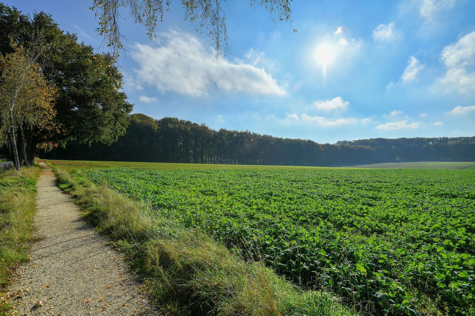 Bakenbergseweg 250, Arnhem foto-70