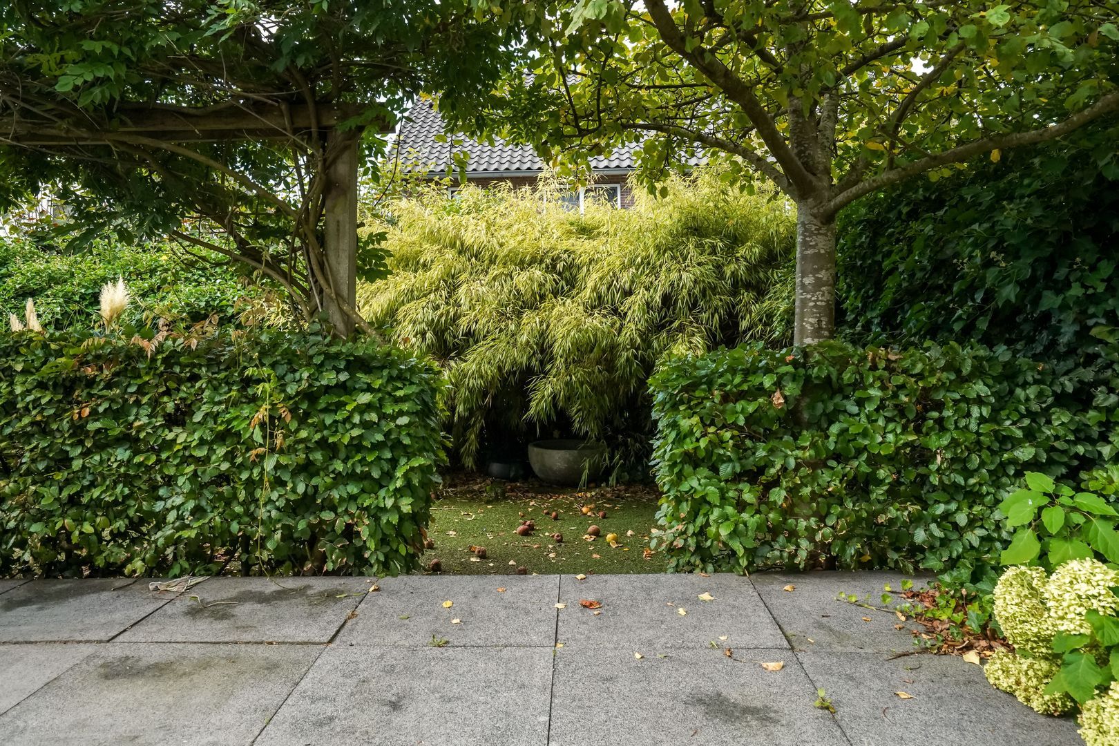 Scheidiuslaan 27, Arnhem foto-14