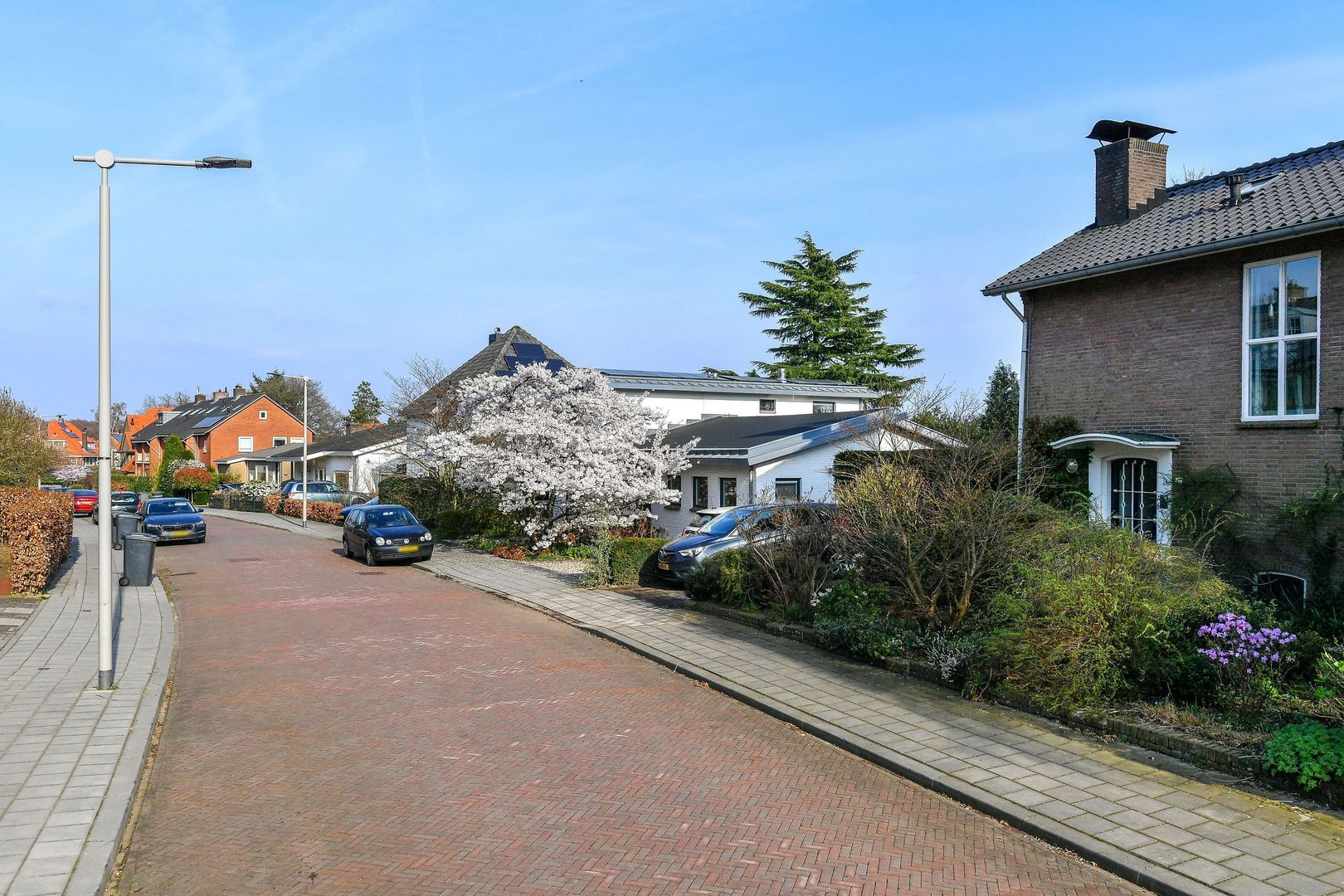 Bosboomstraat 19, Arnhem foto-30