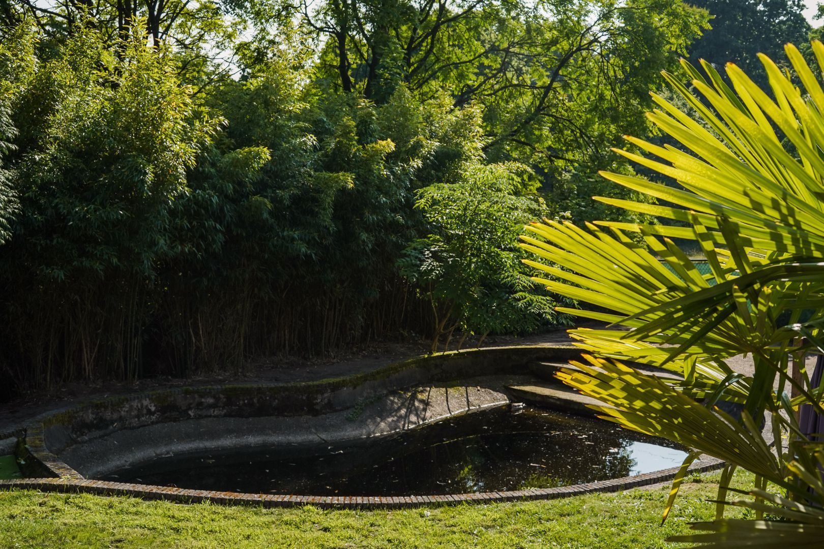 Amsterdamseweg 235, Arnhem foto-56