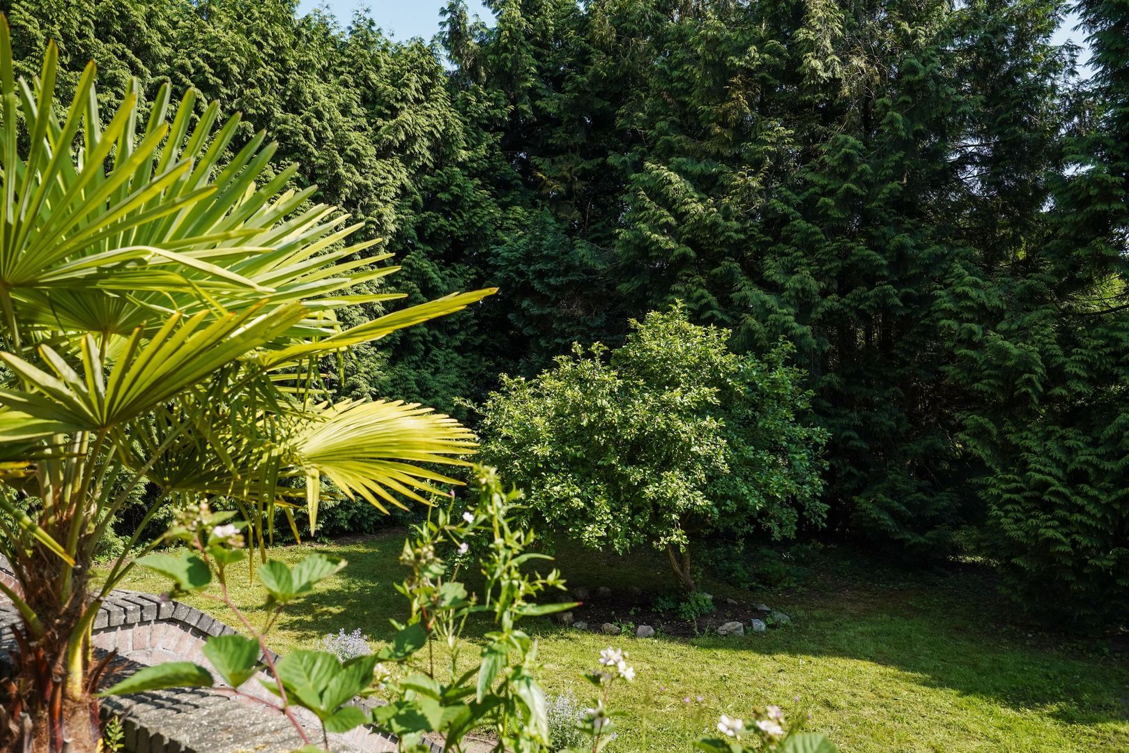 Amsterdamseweg 235, Arnhem foto-58