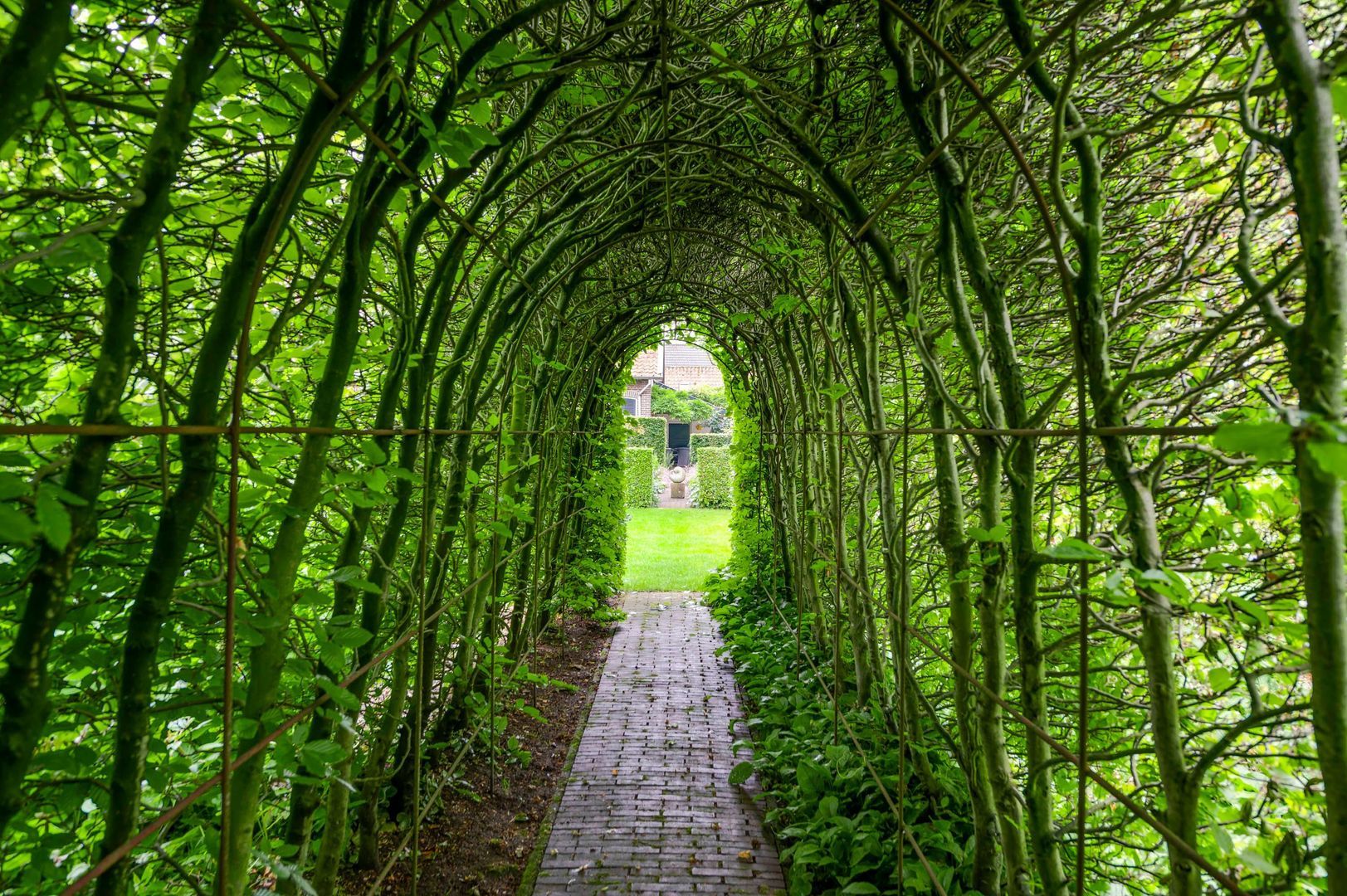 Antoniusstraat 4, Ell foto-64