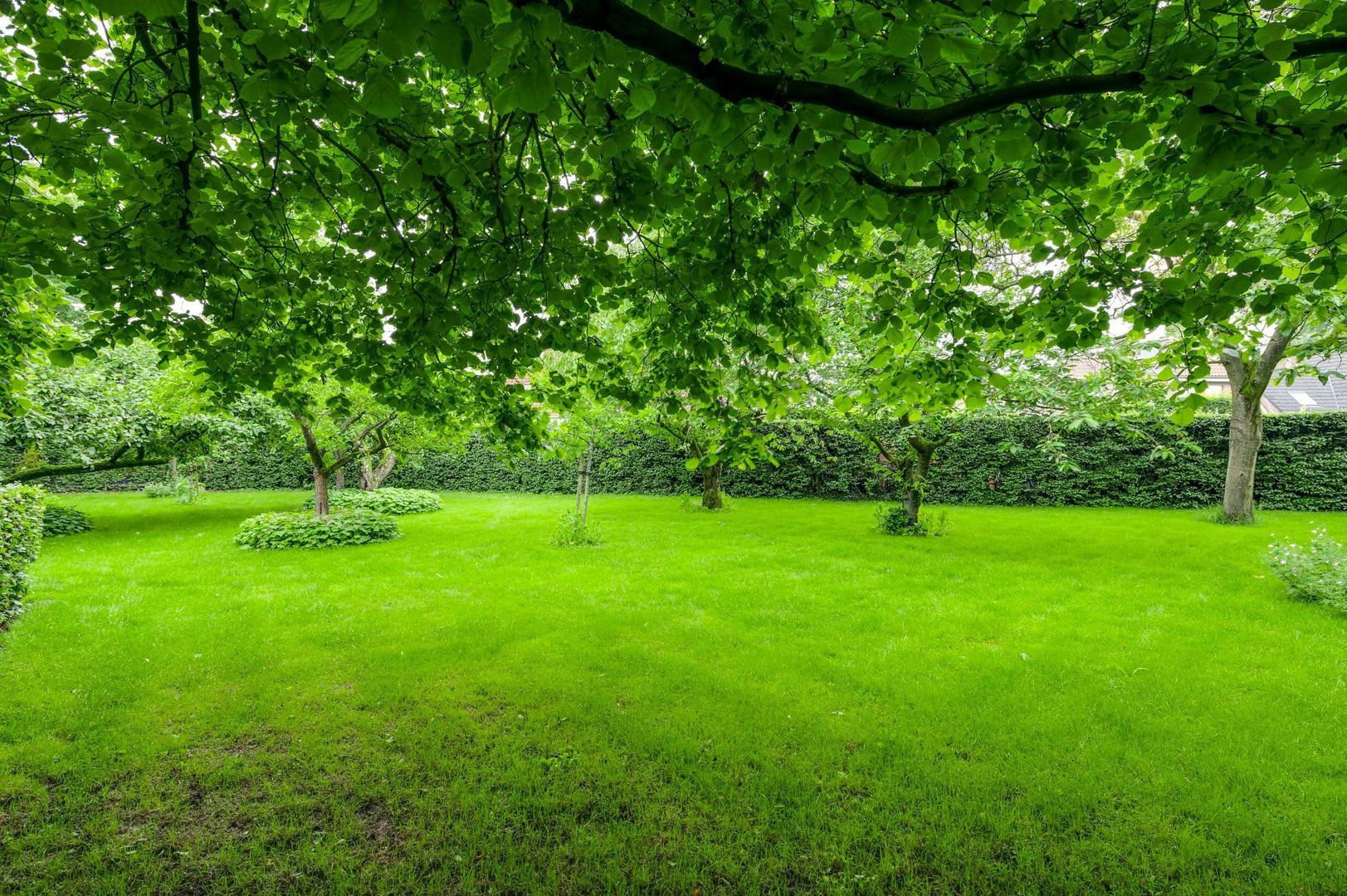 Antoniusstraat 4, Ell foto-62