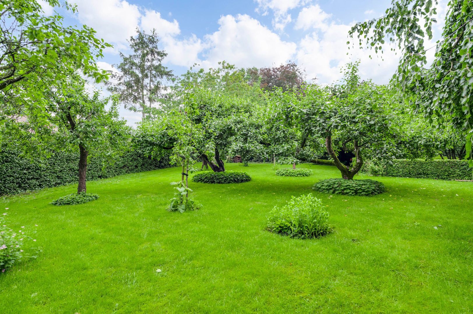 Antoniusstraat 4, Ell foto-60