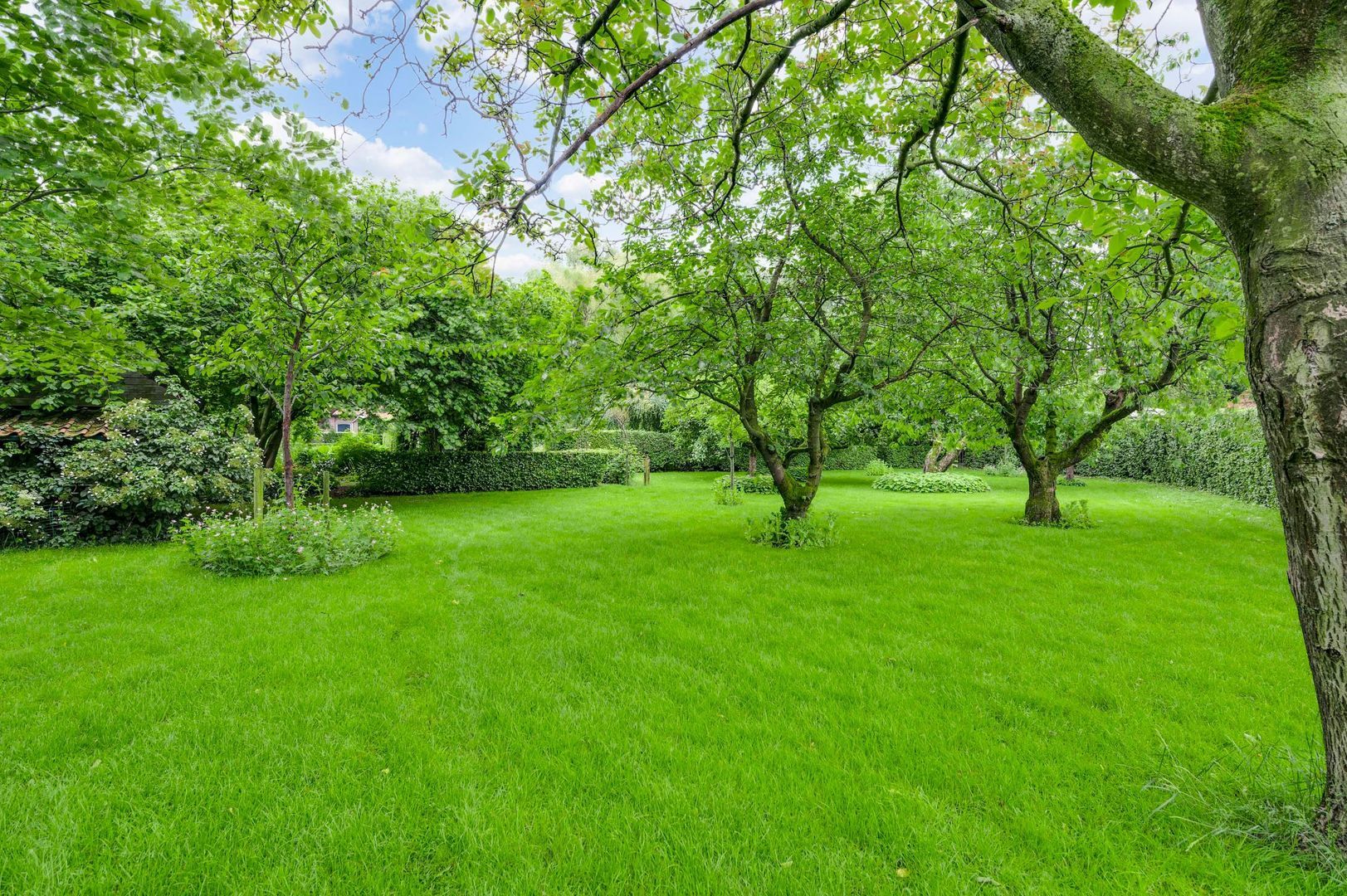 Antoniusstraat 4, Ell foto-63