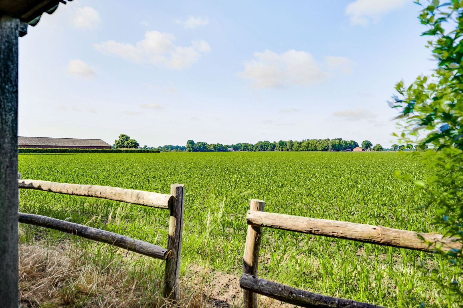 Bergsheisteeg 1, Weert foto-62