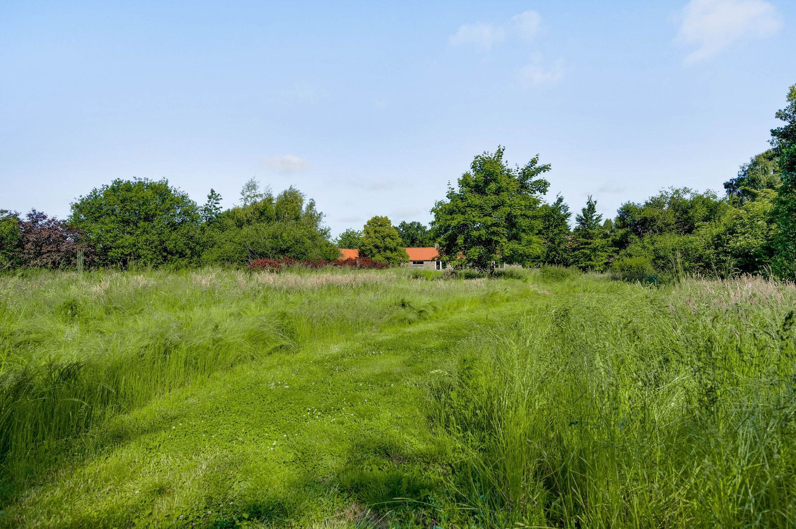 Bergsheisteeg 1, Weert foto-52