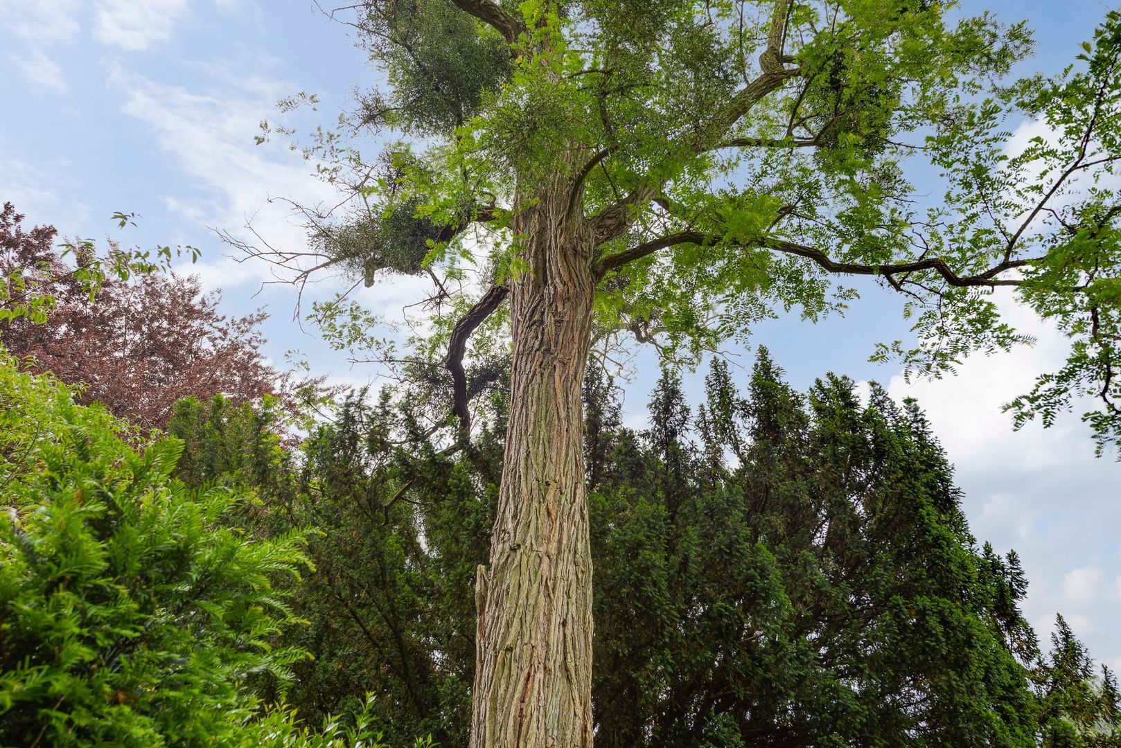 Strijthagerweg 15, Landgraaf foto-74