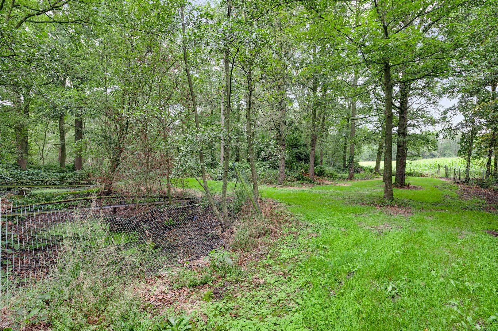 Lochtstraat 16, Stramproy foto-40