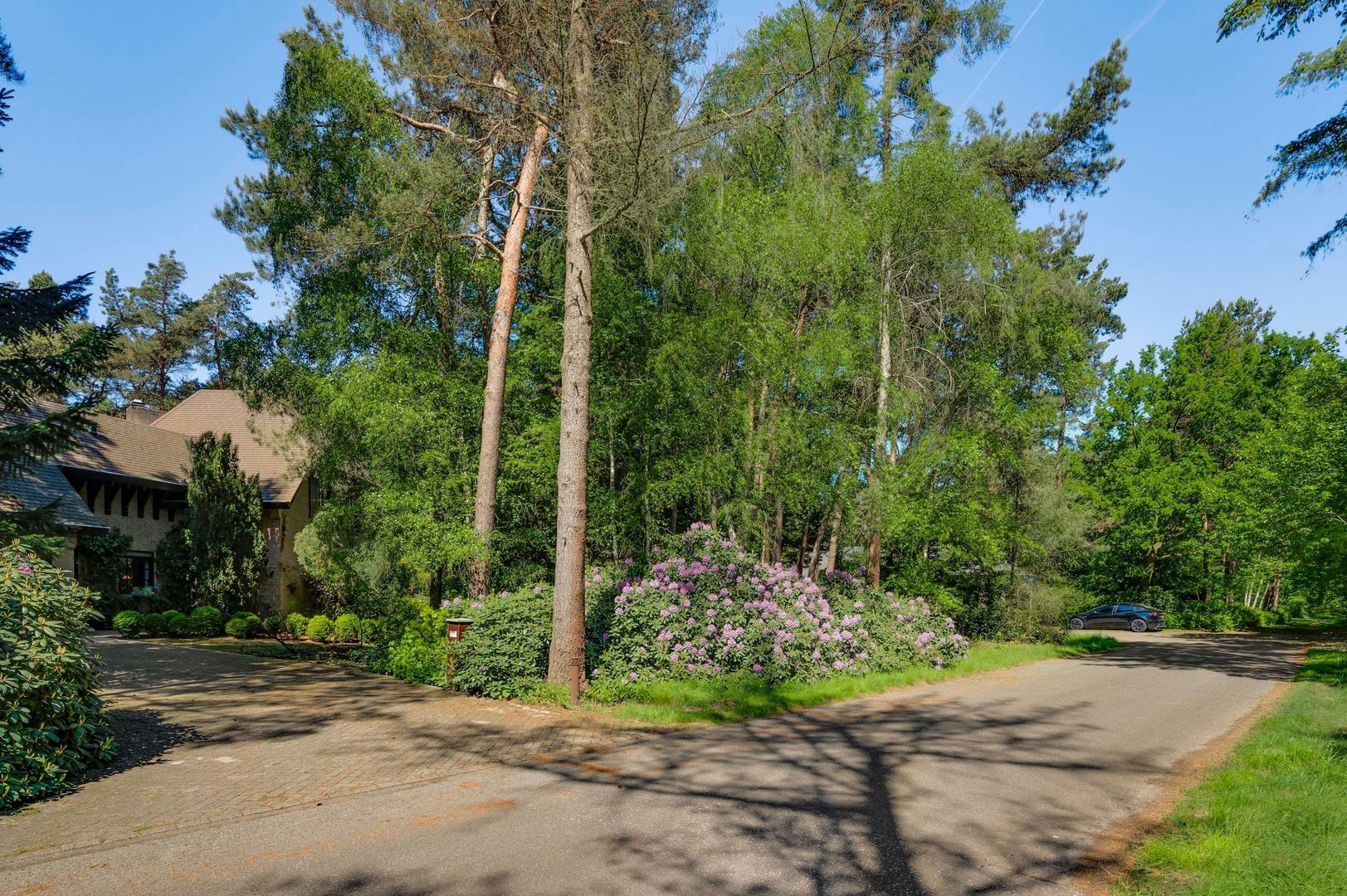 Dennenlaan 1, Maarheeze foto-67