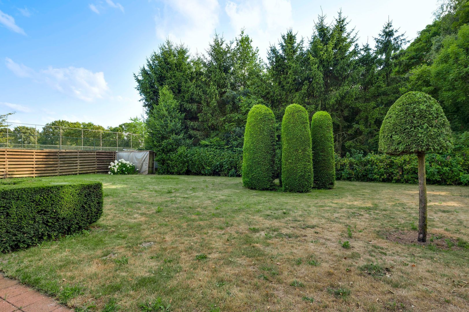 Moostdijk 9, Ospel foto-41