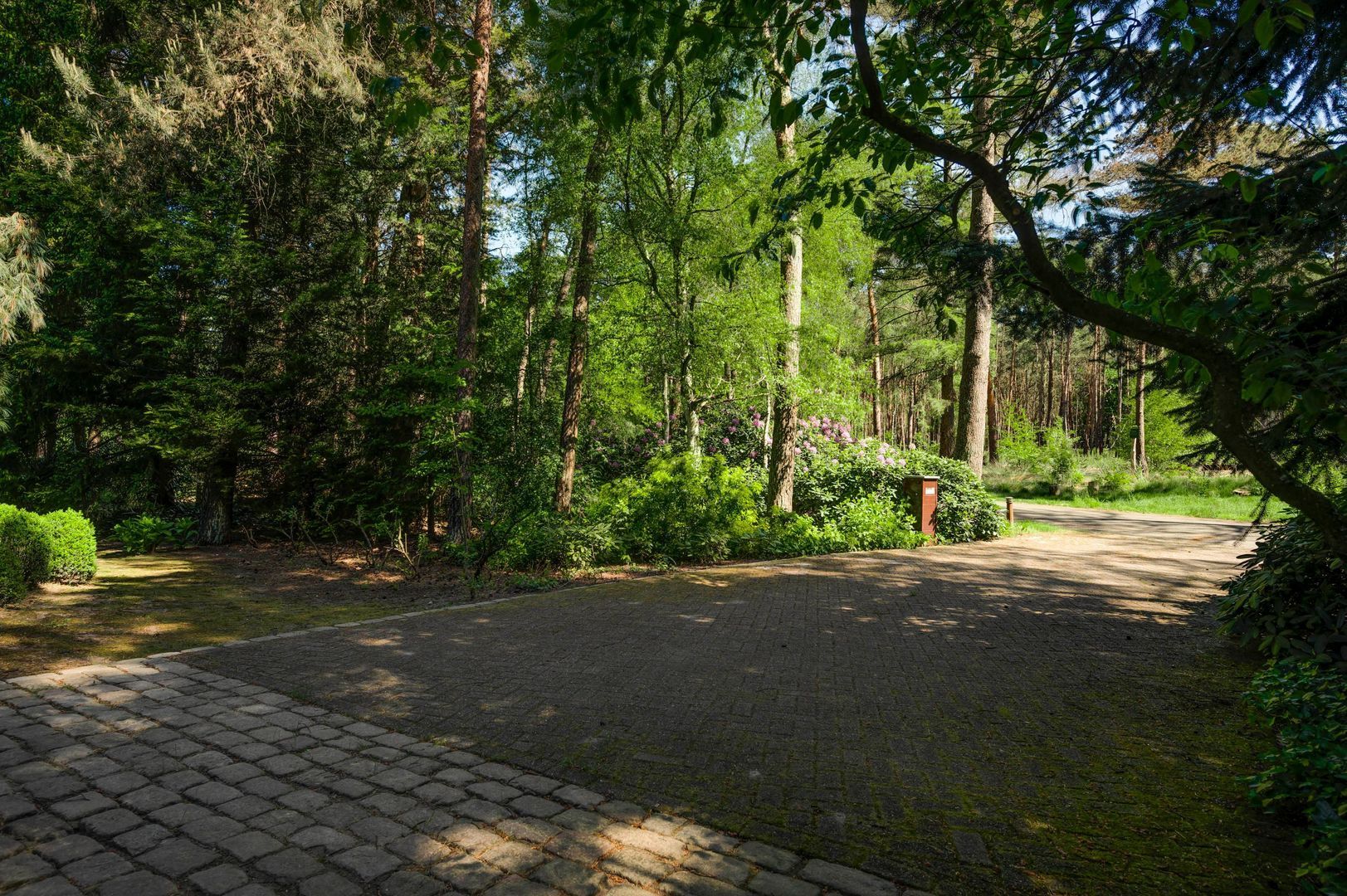 Dennenlaan 1, Maarheeze foto-59