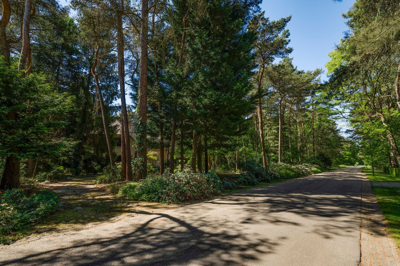 Dennenlaan 1, Maarheeze foto-66