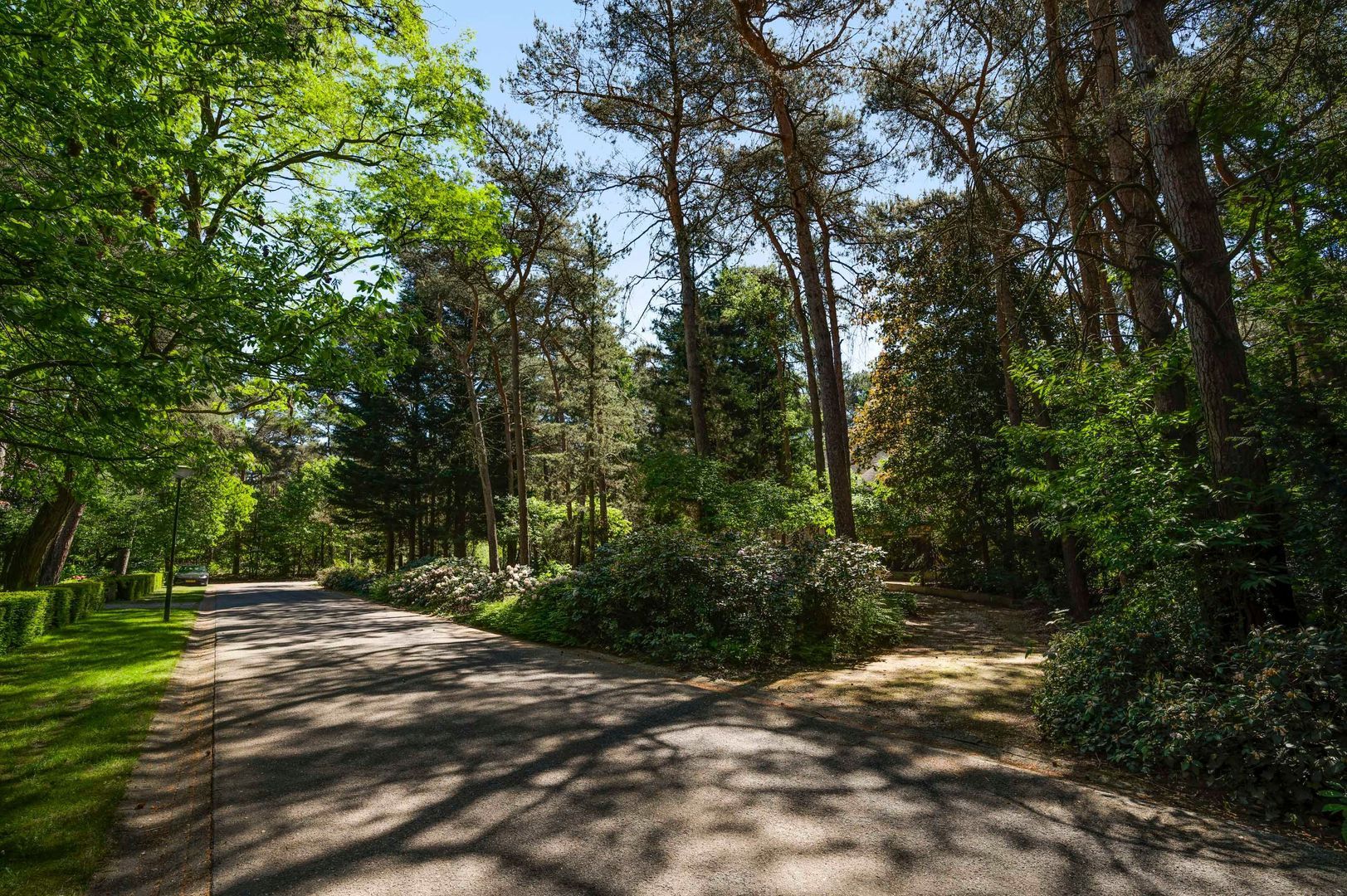 Dennenlaan 1, Maarheeze foto-65