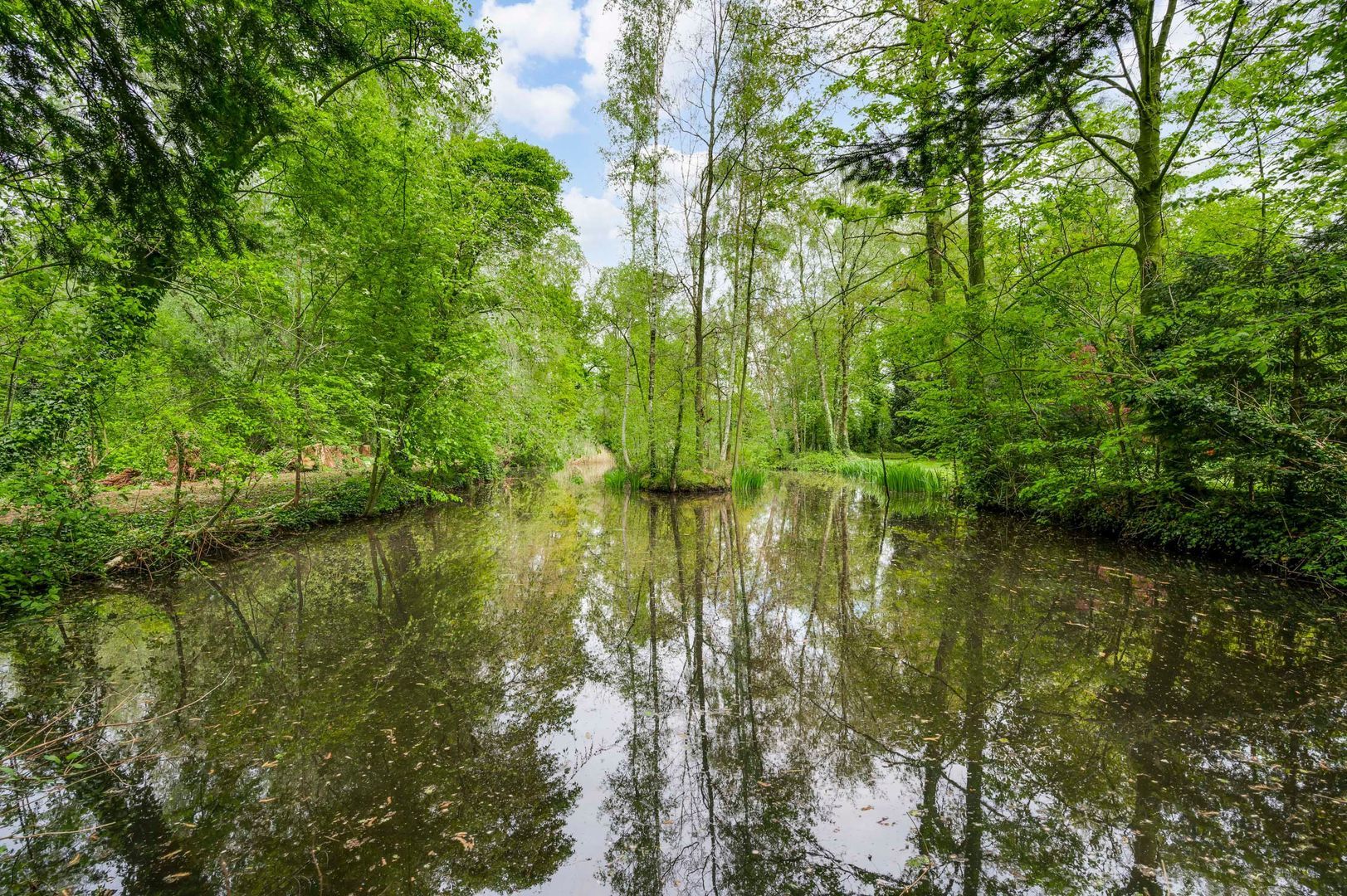 Heideweg 10, Kelpen-Oler foto-37