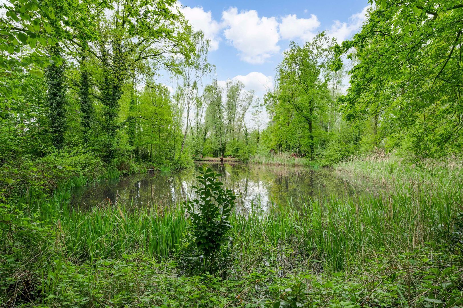 Heideweg 10, Kelpen-Oler foto-7