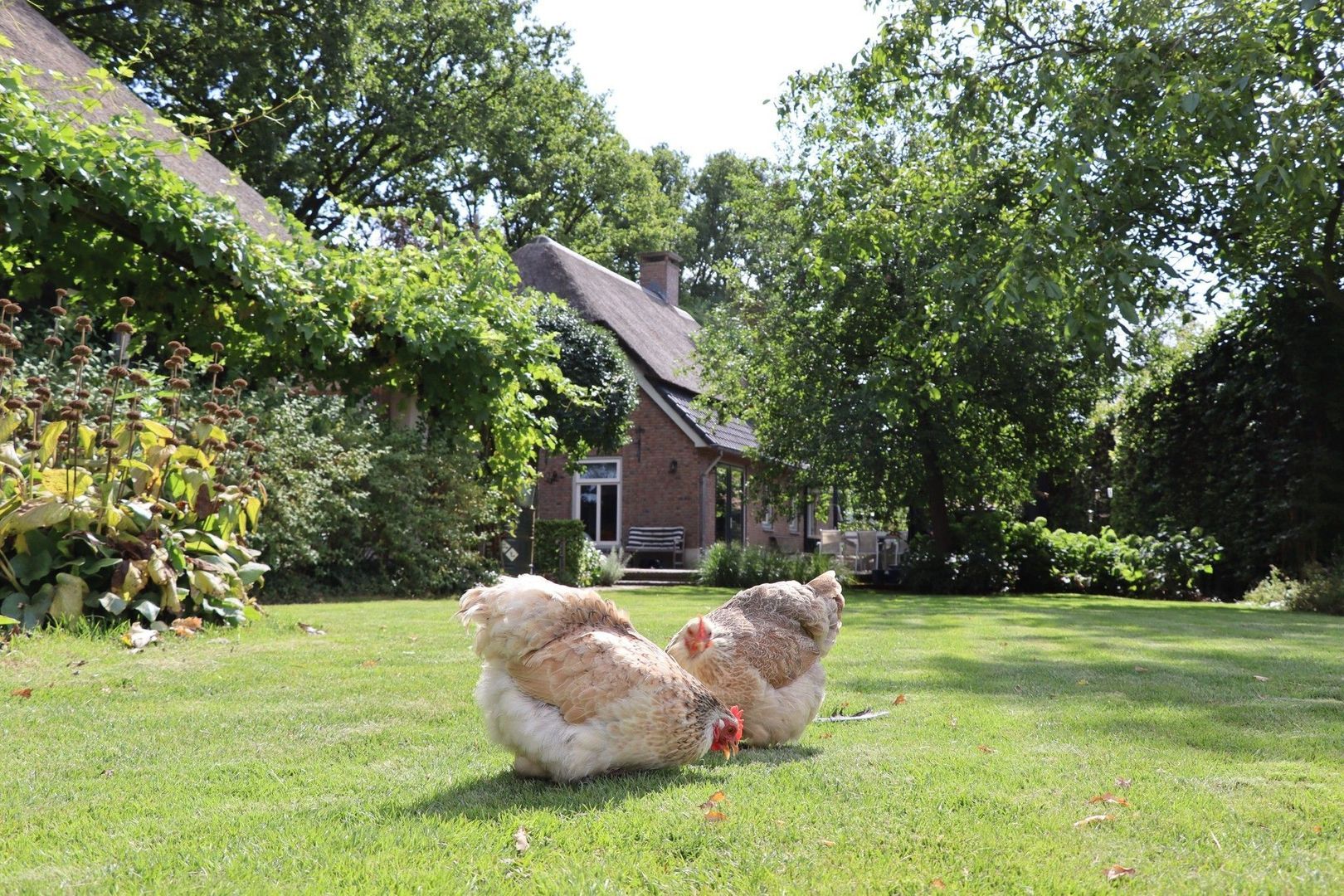 Vleutstraat 1, Best foto-65