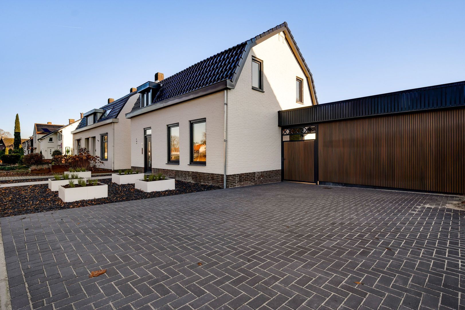 Steer 5, Nederweert foto-6