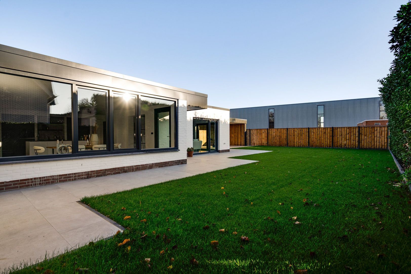 Steer 5, Nederweert foto-27