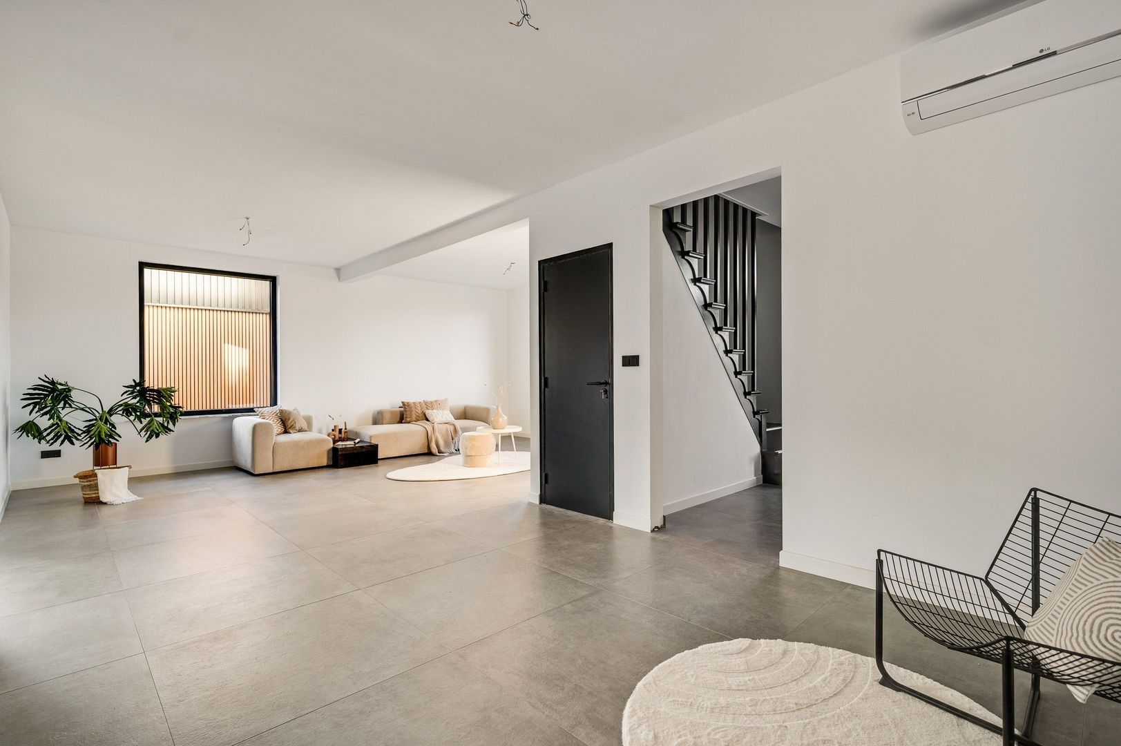 Steer 5, Nederweert foto-13