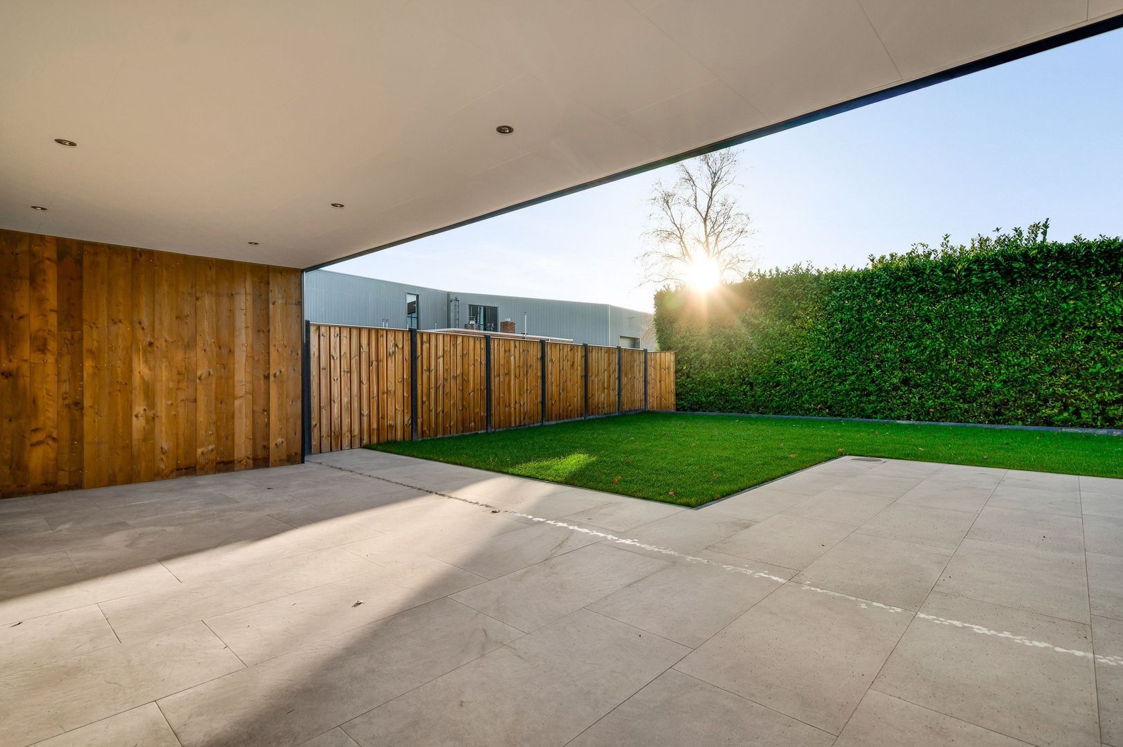 Steer 5, Nederweert foto-25