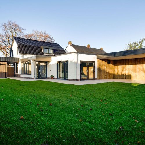 Steer 5, Nederweert foto-1