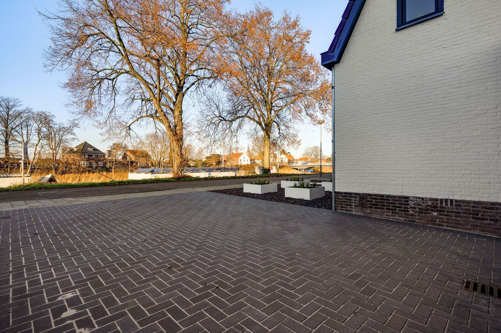 Steer 5, Nederweert foto-7