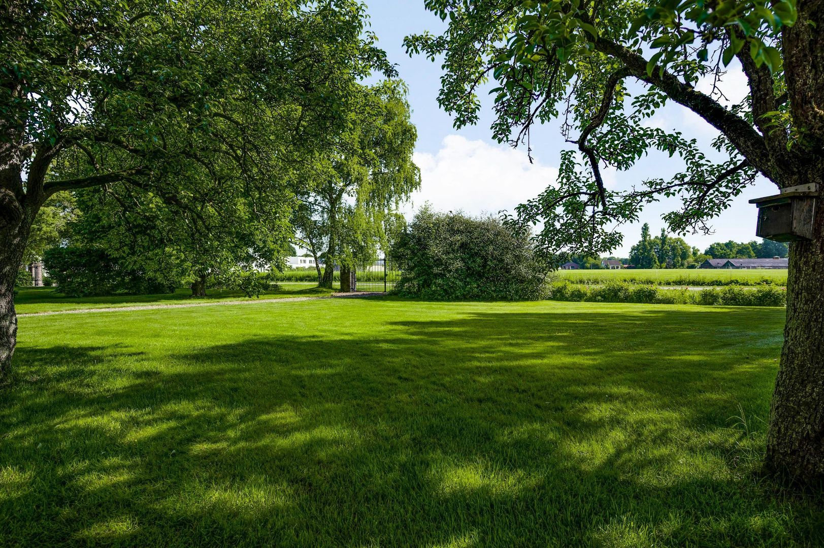 Bergsheisteeg 1, Weert foto-56
