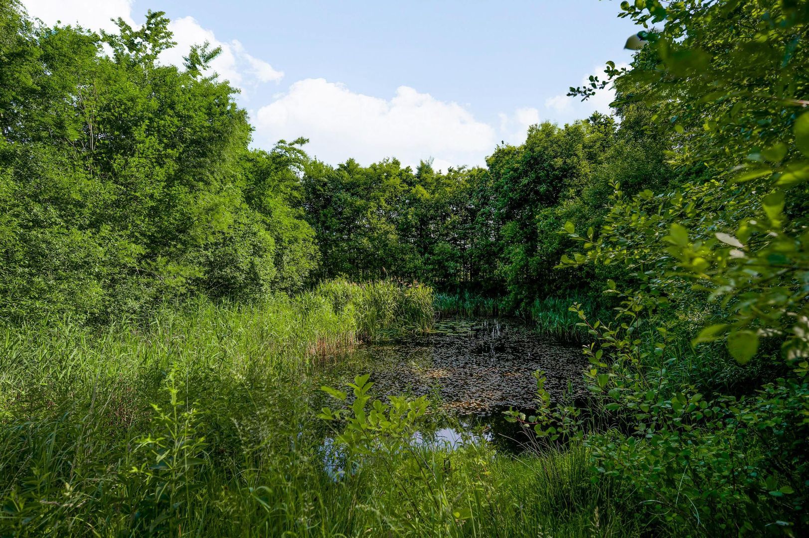 Bergsheisteeg 1, Weert foto-53