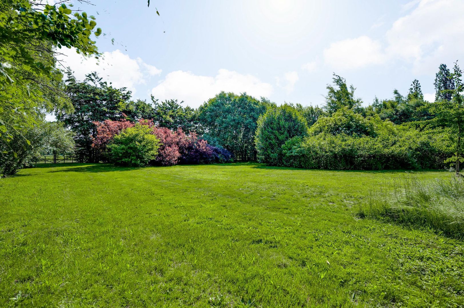 Bergsheisteeg 1, Weert foto-50