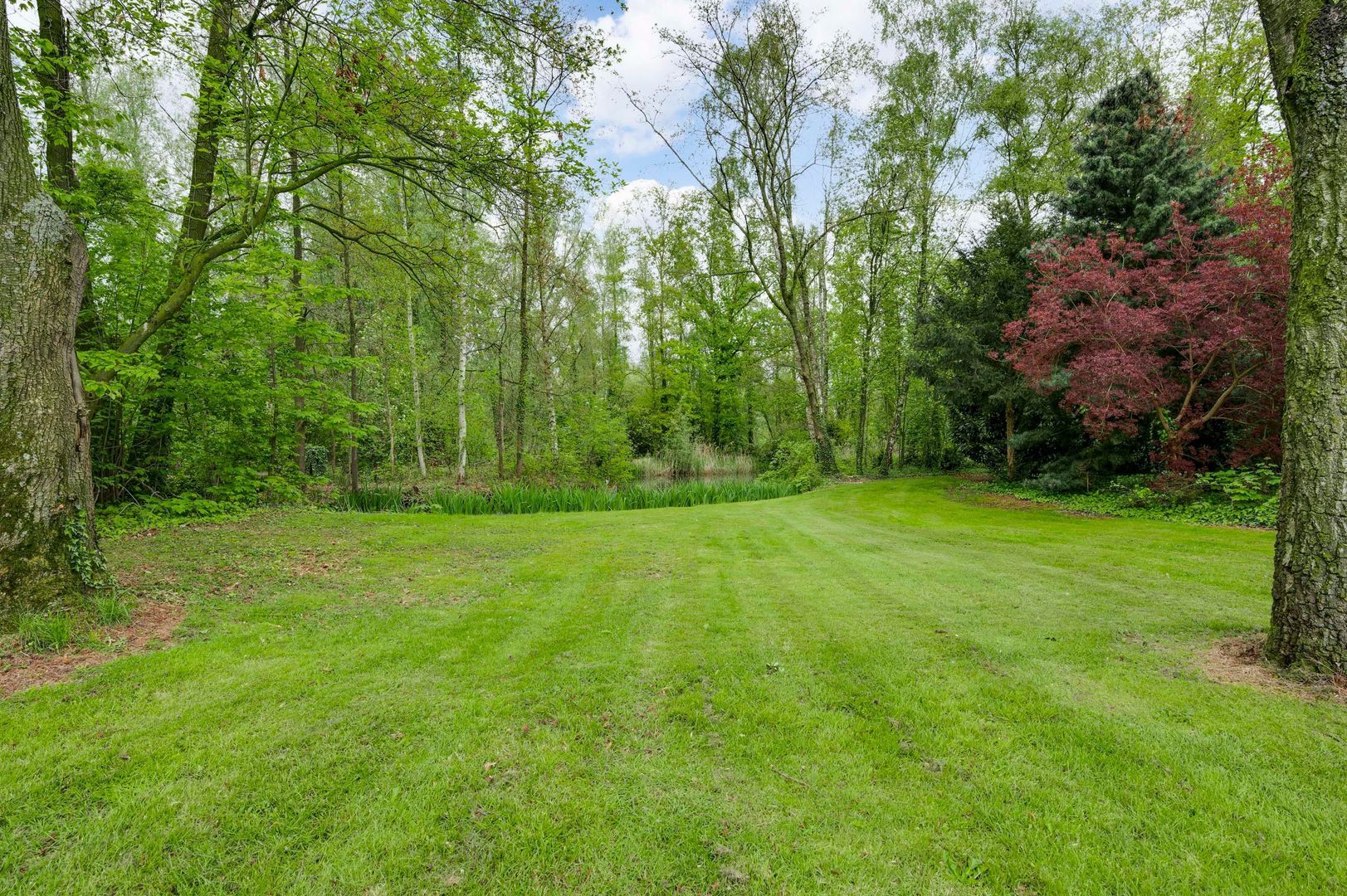 Heideweg 10, Kelpen-Oler foto-40