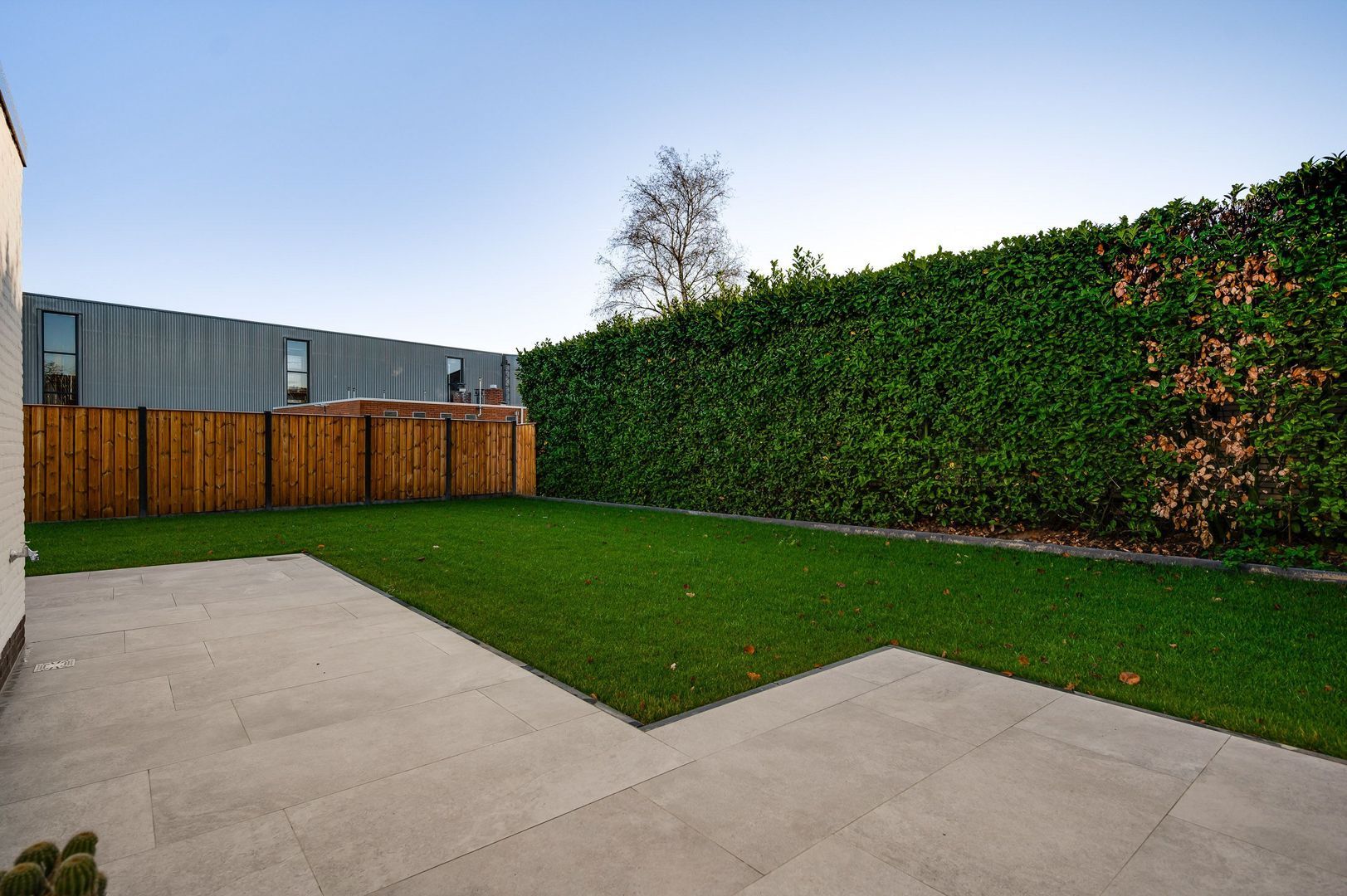 Steer 5, Nederweert foto-29