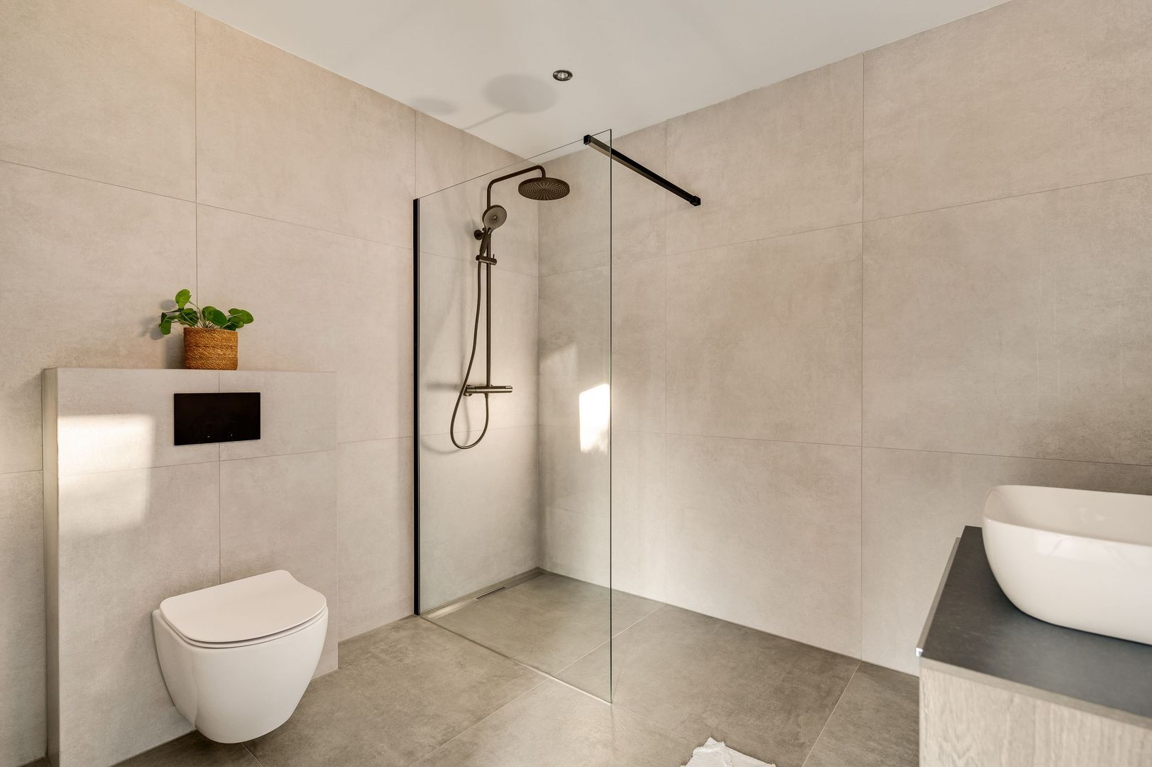 Steer 5, Nederweert foto-23