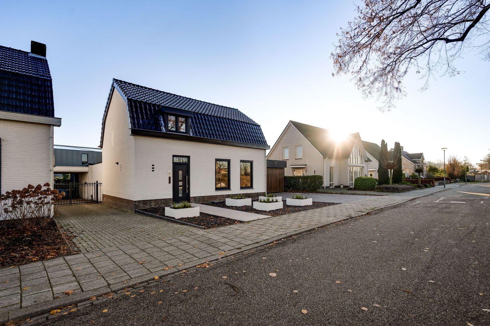 Steer 5, Nederweert foto-5