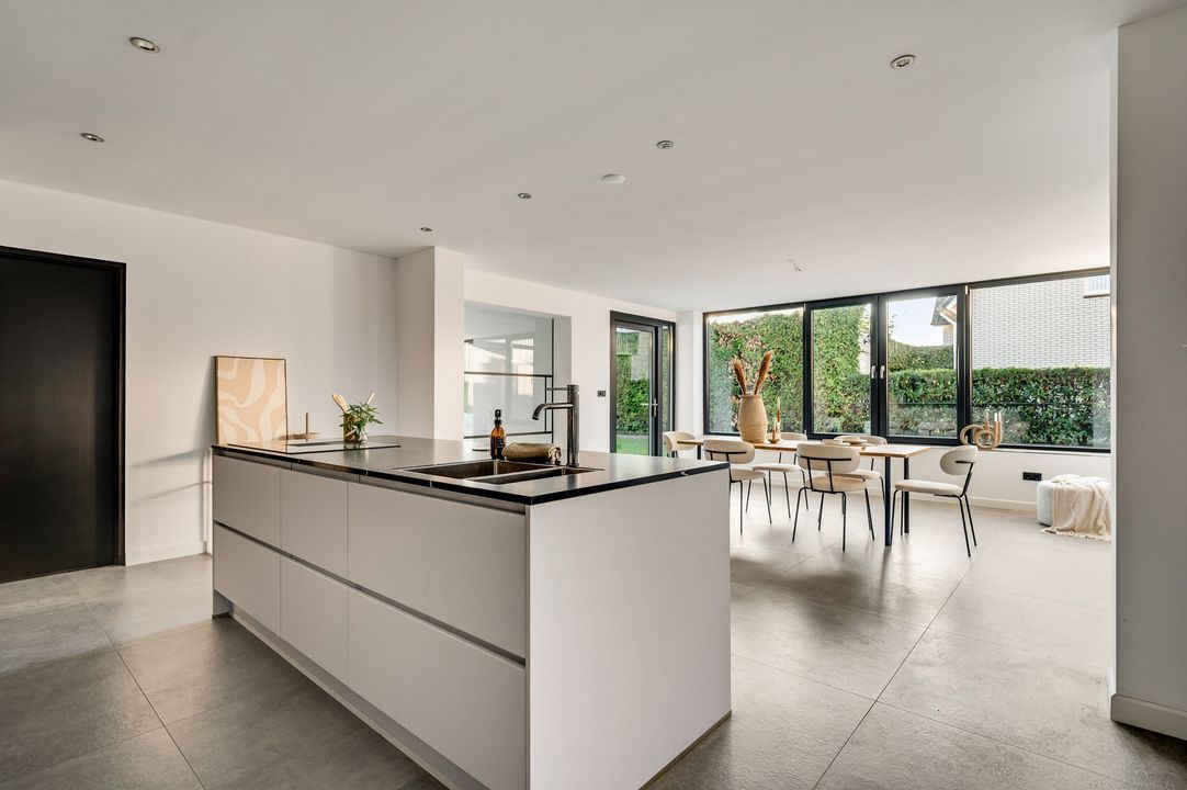 Steer 5, Nederweert foto-2