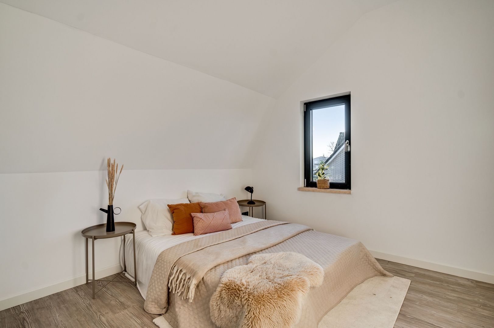 Steer 5, Nederweert foto-36