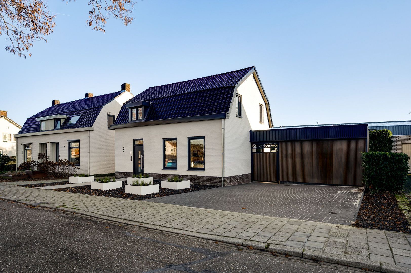 Steer 5, Nederweert foto-4