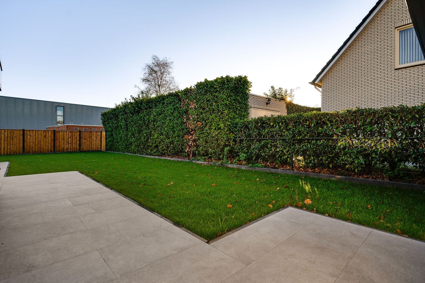 Steer 5, Nederweert foto-28