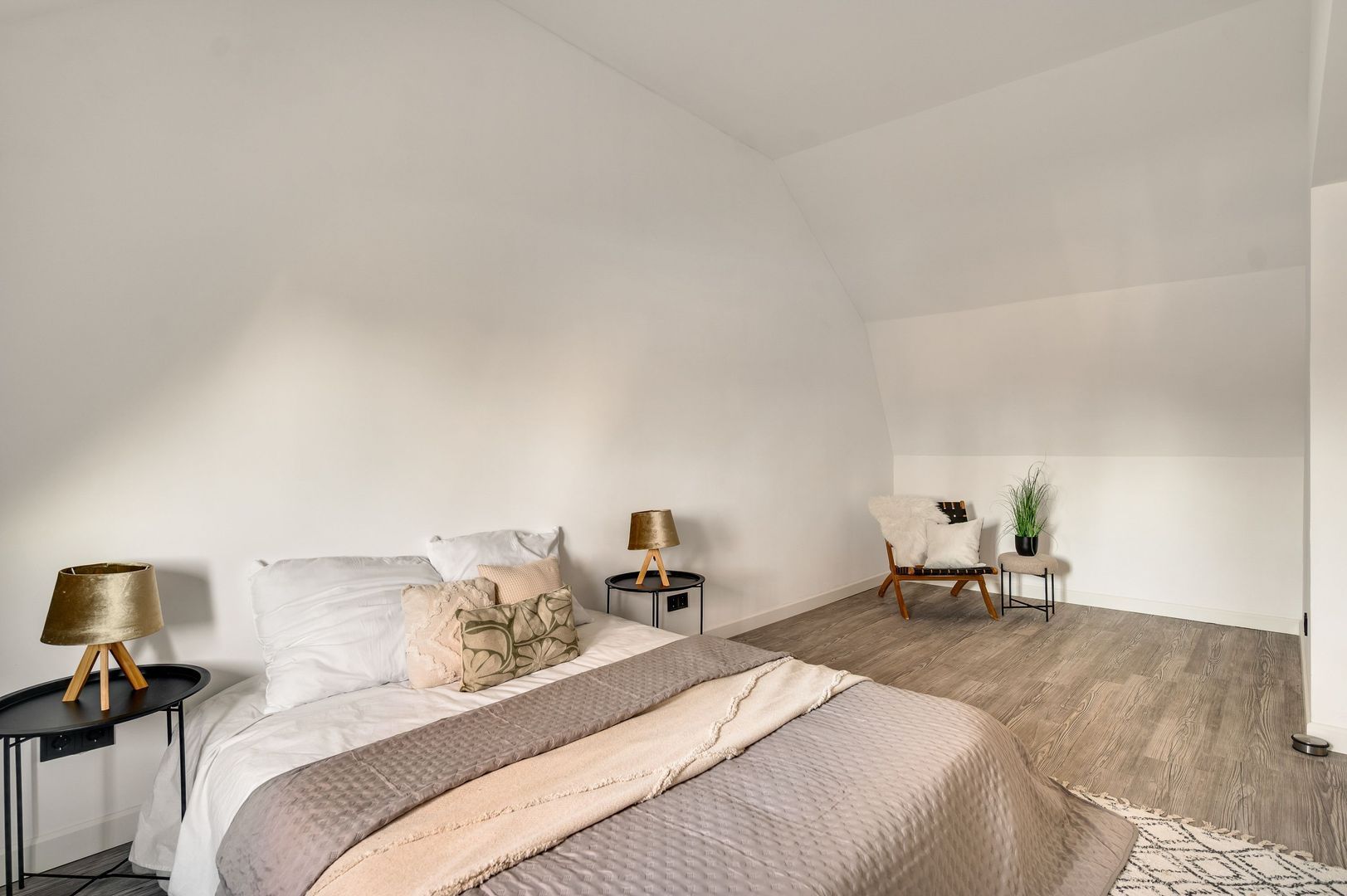 Steer 5, Nederweert foto-34