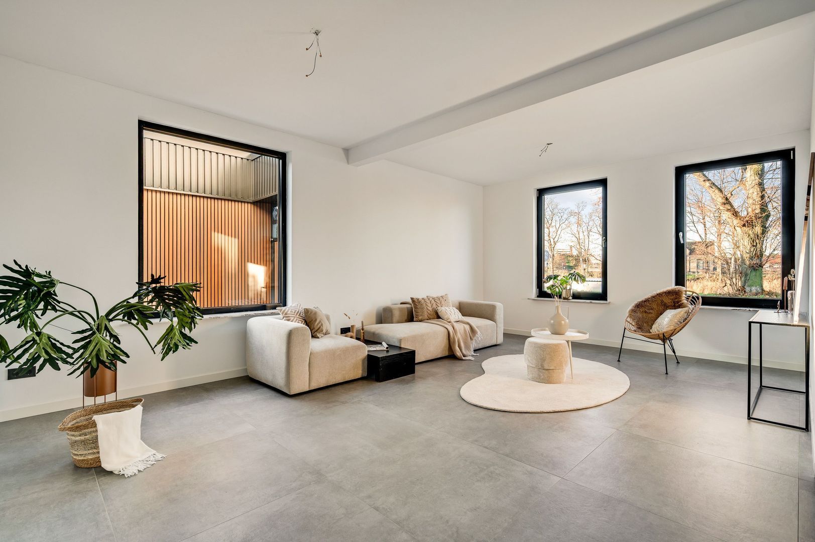 Steer 5, Nederweert foto-10