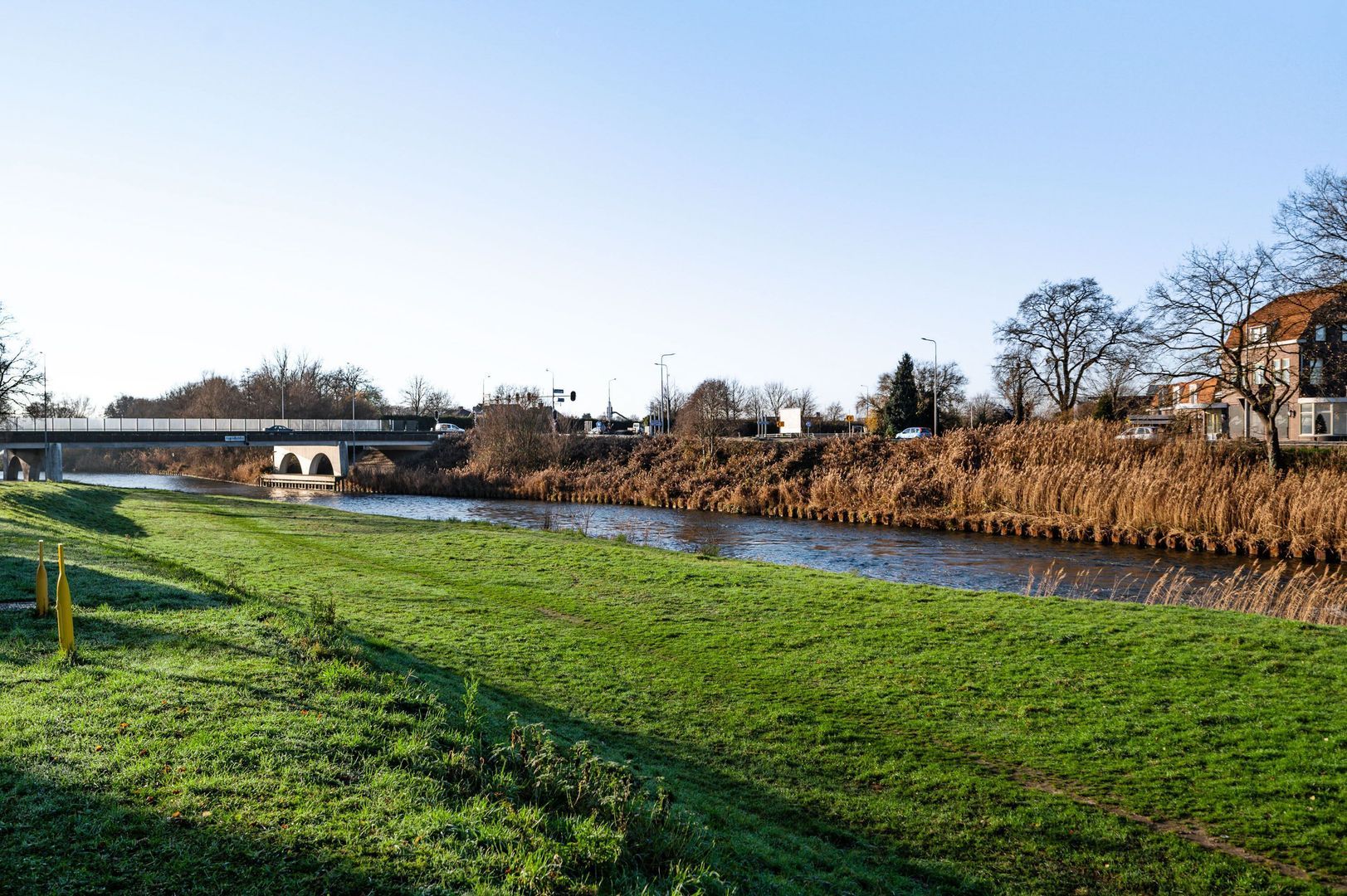 Steer 5, Nederweert foto-39