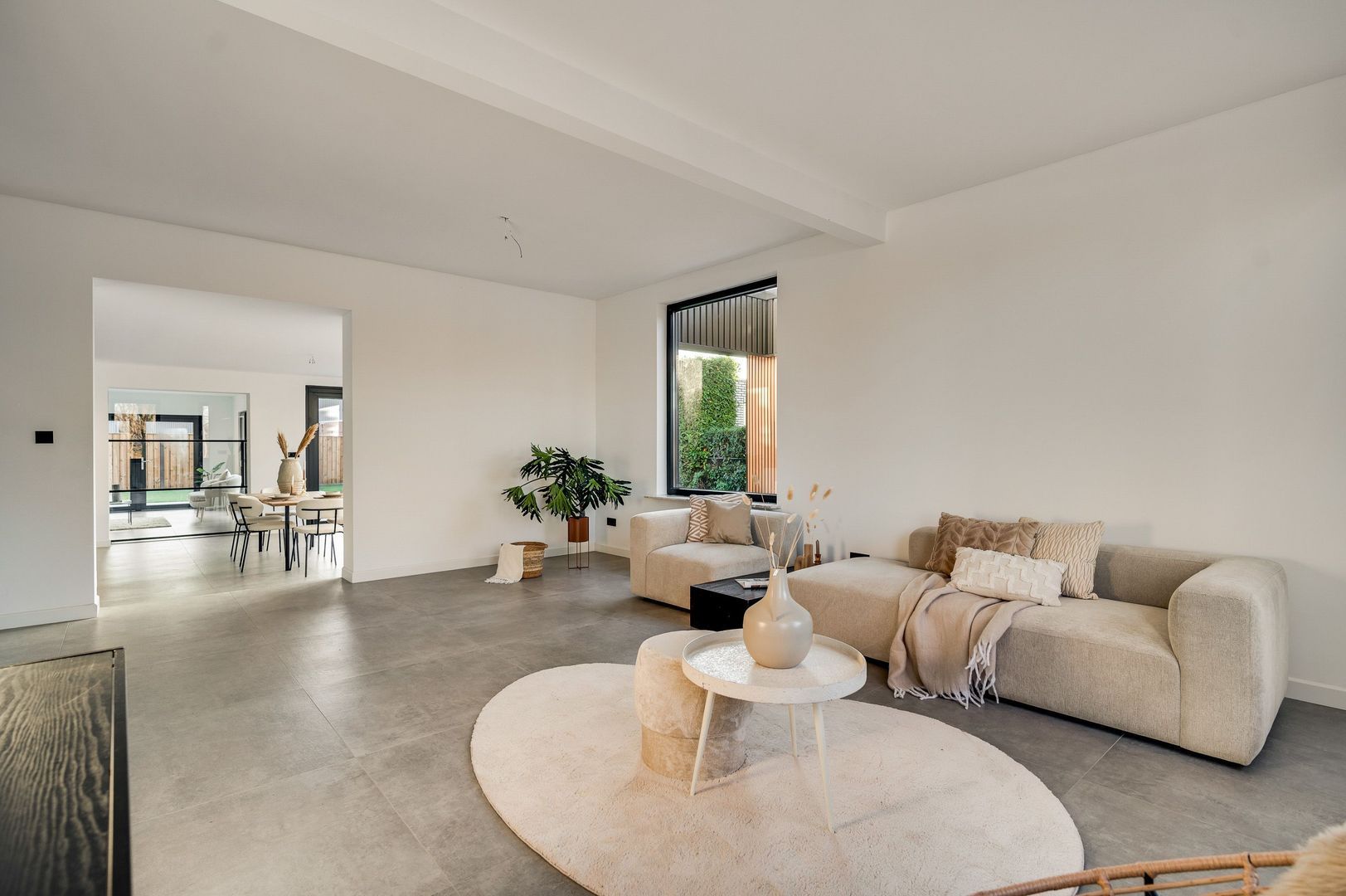 Steer 5, Nederweert foto-12