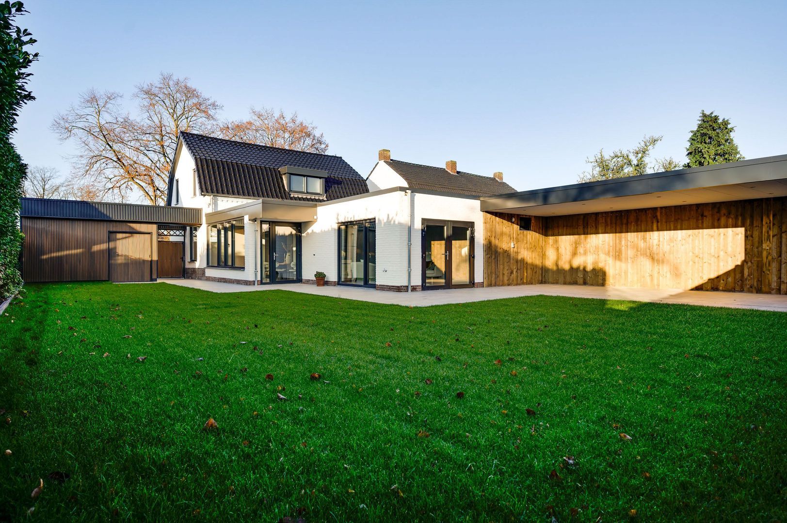 Steer 5, Nederweert foto-0