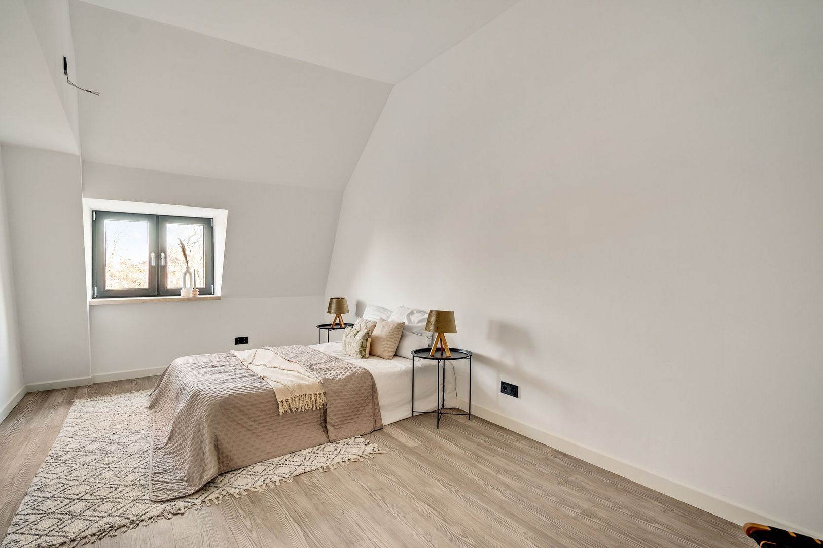 Steer 5, Nederweert foto-32