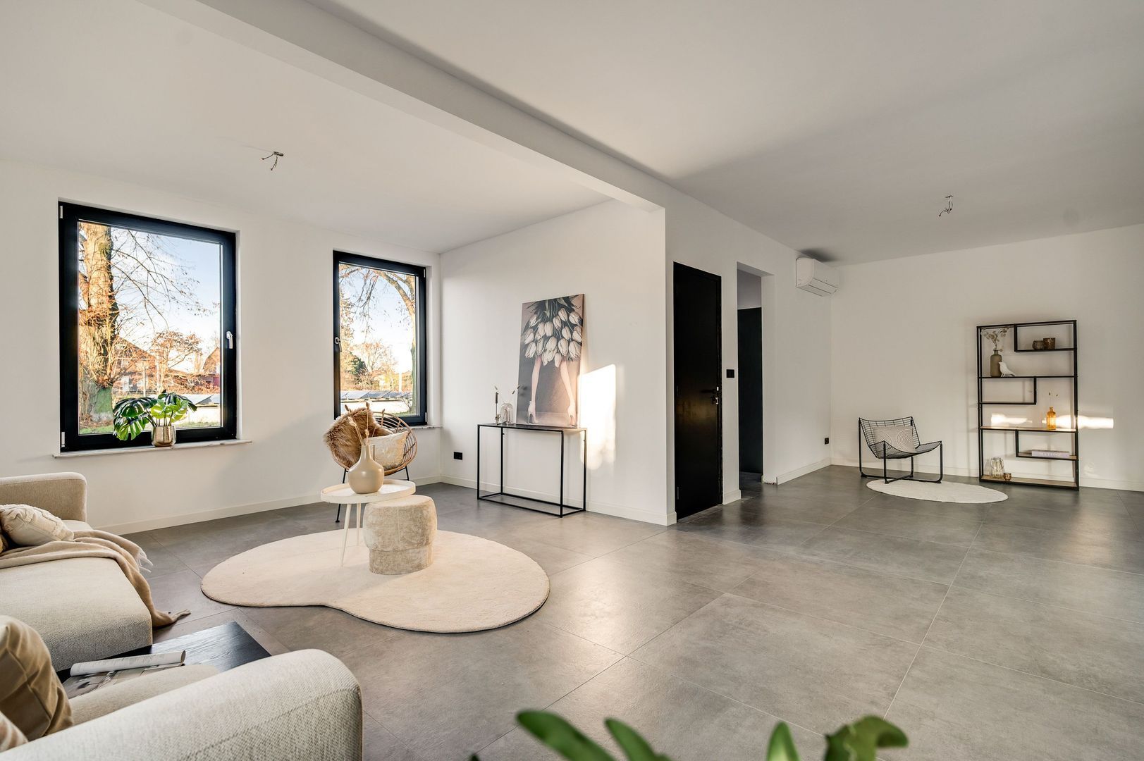 Steer 5, Nederweert foto-2