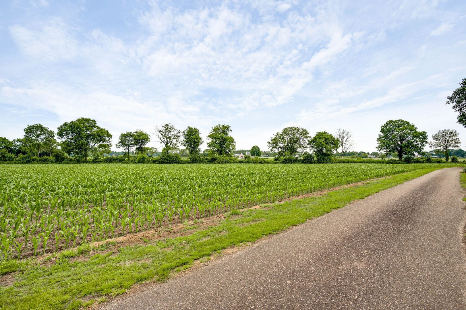 Braakpeel 5, Nederweert-Eind foto-59