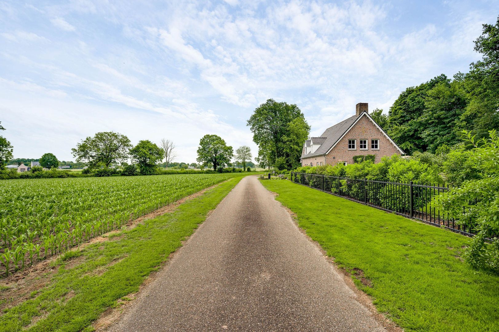 Braakpeel 5, Nederweert-Eind foto-60
