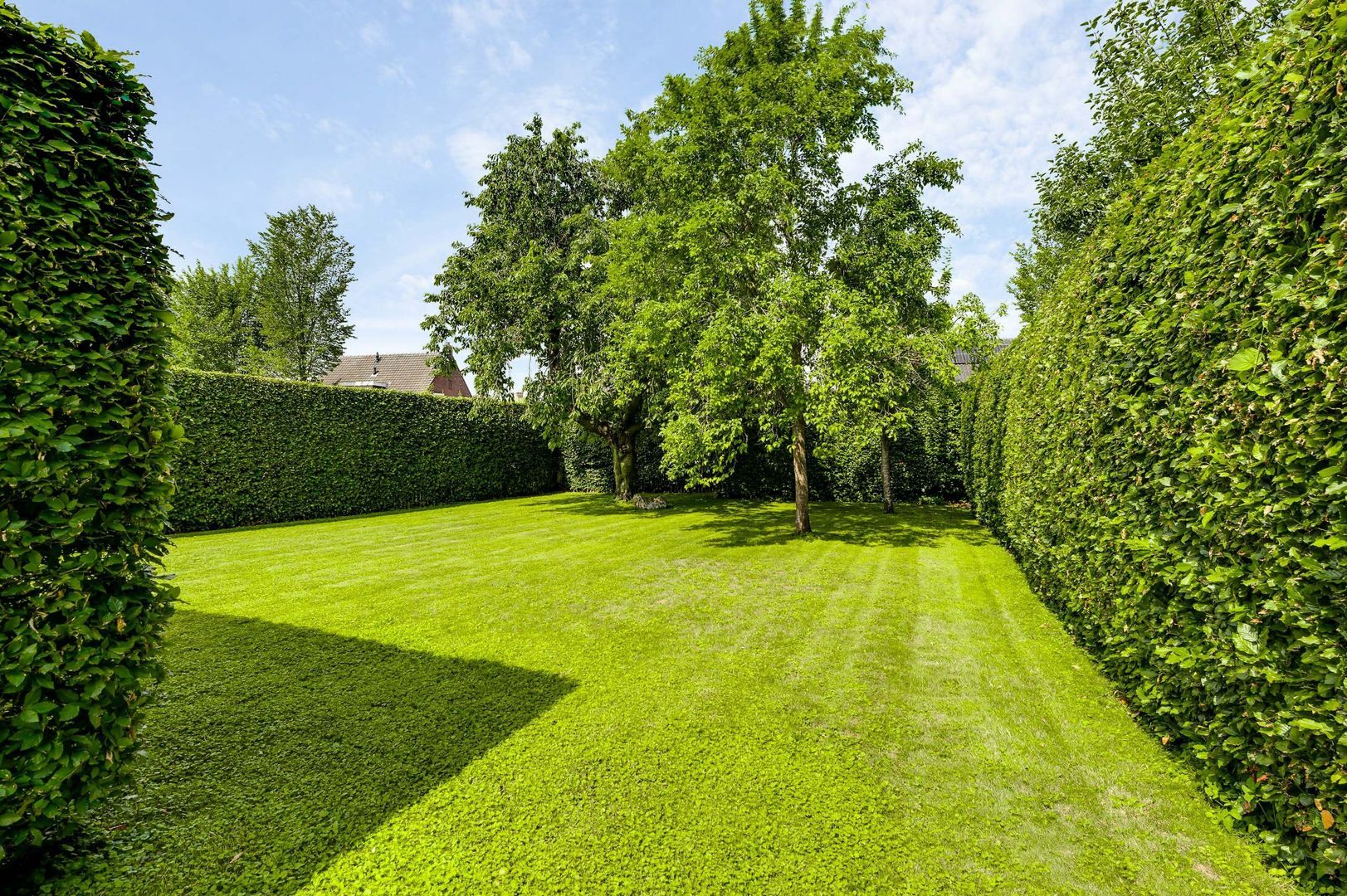 Wilhelminastraat 8, Stramproy foto-46