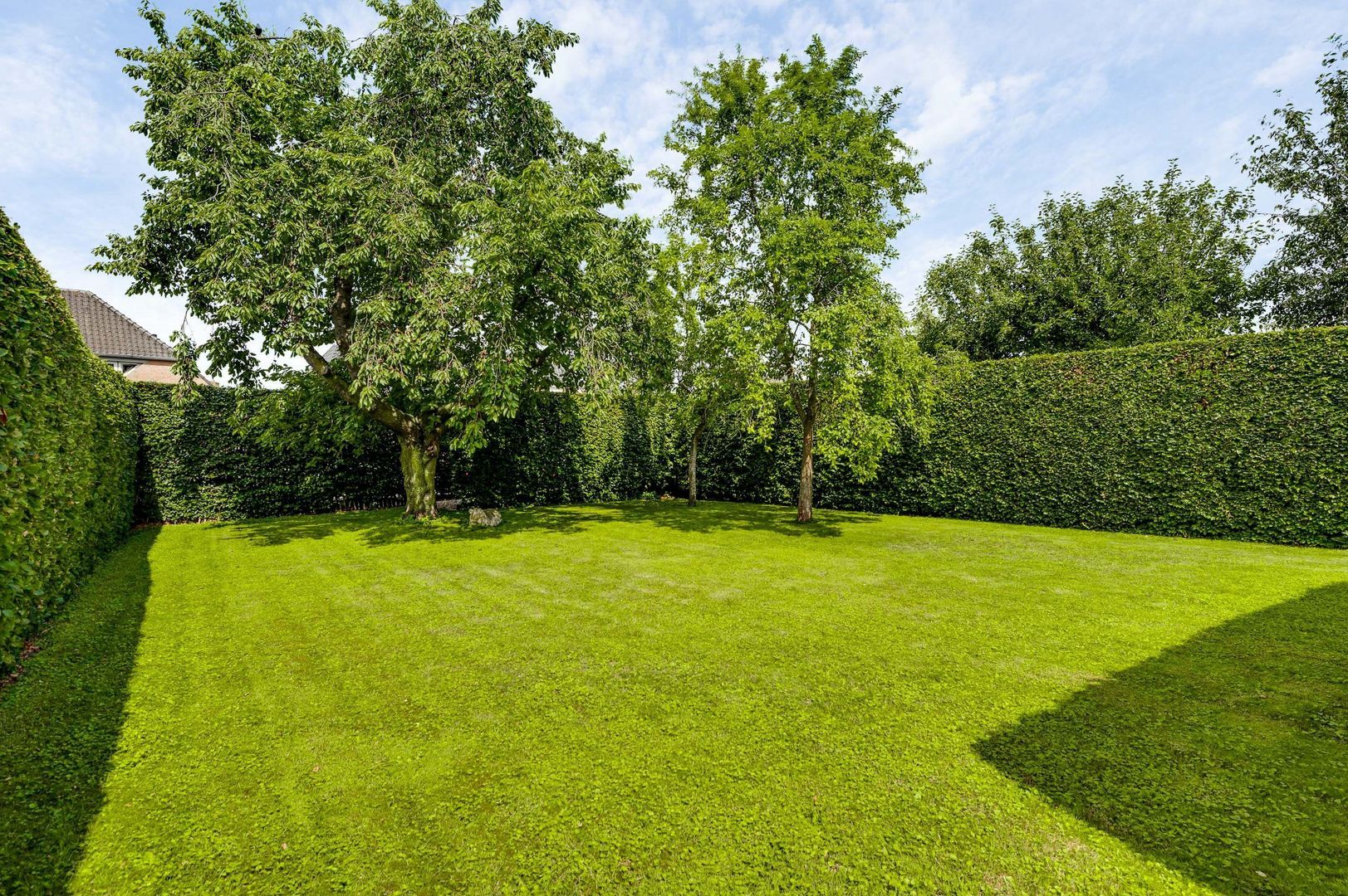 Wilhelminastraat 8, Stramproy foto-47