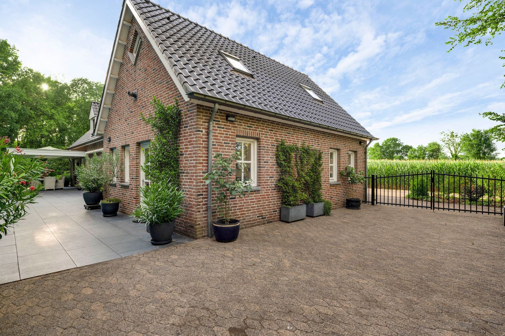 Braakpeel 5, Nederweert-Eind foto-55